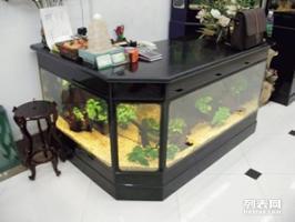 南山魚缸護(hù)理與寵物食品購買指南